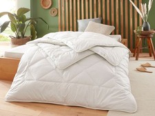 Badenia trendline eco gebraucht kaufen  Zehdenick