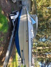1976 sea ray for sale  Olympia
