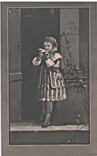 July 1881 young for sale  Baton Rouge