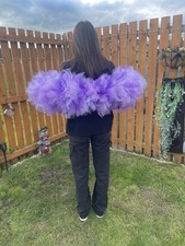 Amazing purple lilac for sale  KILWINNING