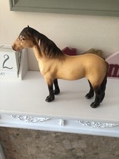 highland pony for sale highland pony for sale DERBY
