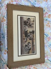 Paul doyle numbered for sale  ABERGELE
