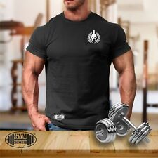 Camiseta Spartan Lambda Bolso Roupas de Ginástica Musculação Treino MMA Top comprar usado  Enviando para Brazil