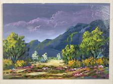 Vintage original miniature for sale  Tucson