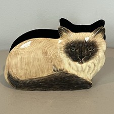 Siamese balinese cat for sale  Rome