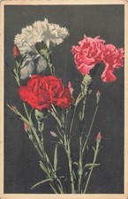 Oeillets fleurs 7491 d'occasion  Vasles