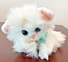 Kitty kitty kittens for sale  Carmel