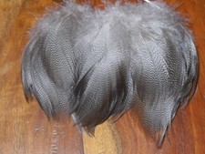 30 PENAS PEQUENAS DE BRONZE MALLARD DUCK, FLY TYING, JOIAS DE CABELO ARTE & ARTESANATO comprar usado  Enviando para Brazil