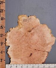 Burl maple lumber for sale  Jefferson