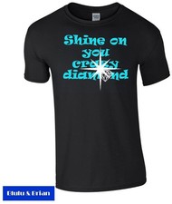 Shine crazy diamond for sale  BRIDLINGTON