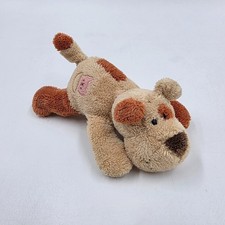 Nici magnettier magnici gebraucht kaufen  Hambühren