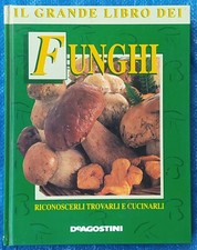 Grande libro dei usato  Viu