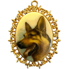 German shepherd loose for sale  Goleta