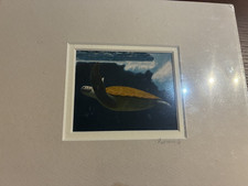 Swimming sea turtle for sale  Rochester