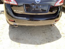 Rear bumper door for sale  Carnesville