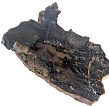 Dadoxylon versteinertes holz gebraucht kaufen  Krumhermersdorf