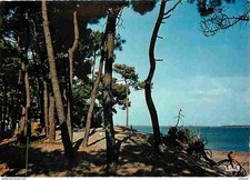 Ile oléron saint d'occasion  Fruges