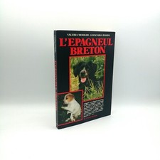 Epagneul breton v.merighi usato  Milano