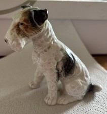 wire fox terrier for sale wire fox terrier for sale HALIFAX
