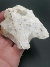 Neolithic beautiful notched d'occasion  Bonneville
