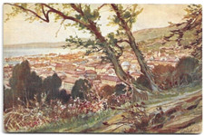 Cartolina trieste panorama usato  Trieste