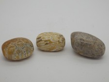 trommel gebraucht kaufen trommel gebraucht kaufen Dautphetal