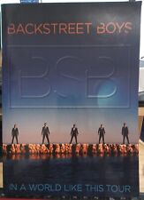 Usado, Livro de memórias fotográfico Backstreet Boys: In A World Like This Tour comprar usado  Enviando para Brazil