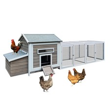 chicken coop 4 hens for sale chicken coop 4 hens for sale Saint James