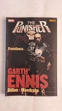 The punisher fratellanza usato  Chioggia