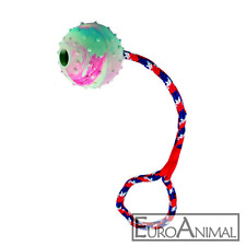 Hunde spielball 6cm gebraucht kaufen  Frontenhausen
