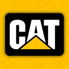 Caterpillar 2456375 usato  Limbiate
