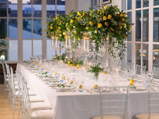 Ice ghost chiavari for sale  WEMBLEY