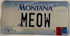 Cat vanity meow for sale  USA