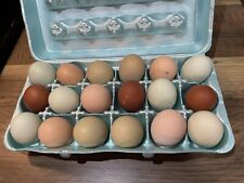 Fresh yard eggs for sale  Husser