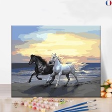 Yfwuqi peinture numero d'occasion  Paris I