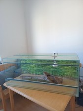 Terrarium reptile gebraucht kaufen  Düren