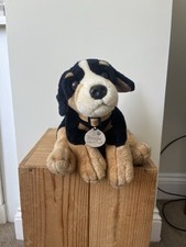 Keel floppy burmese for sale  OXFORD