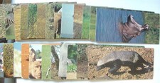 Cartes postales nestle d'occasion  Garons