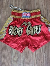 Muay thai boxing for sale  THETFORD