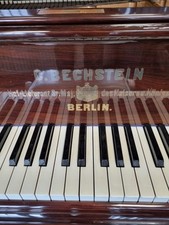 Bechstein palisander flügel gebraucht kaufen  Ibbenbüren
