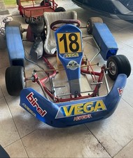Kart birel 100cc usato  Vailate