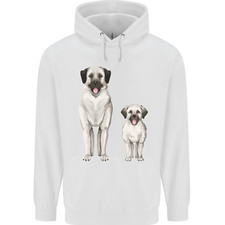 Anatolian shepherd dog for sale  COVENTRY