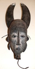 african horns for sale african horns for sale Albuquerque