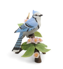Lenox female bluejay for sale  Cooksville