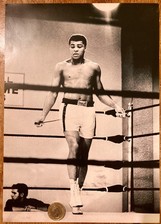 Sporting photo print for sale  SLOUGH