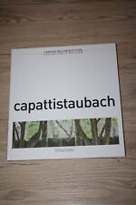 Capattistaubach maestri dell usato  Rivignano Teor