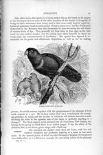 Old antique print d'occasion  Expédié en Belgium