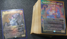 Magic cats dogs gebraucht kaufen  Bernau