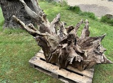 large wooden root sculpture for sale large wooden root sculpture for sale STANMORE