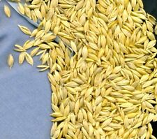 Pula farro bio usato  Barberino Tavarnelle